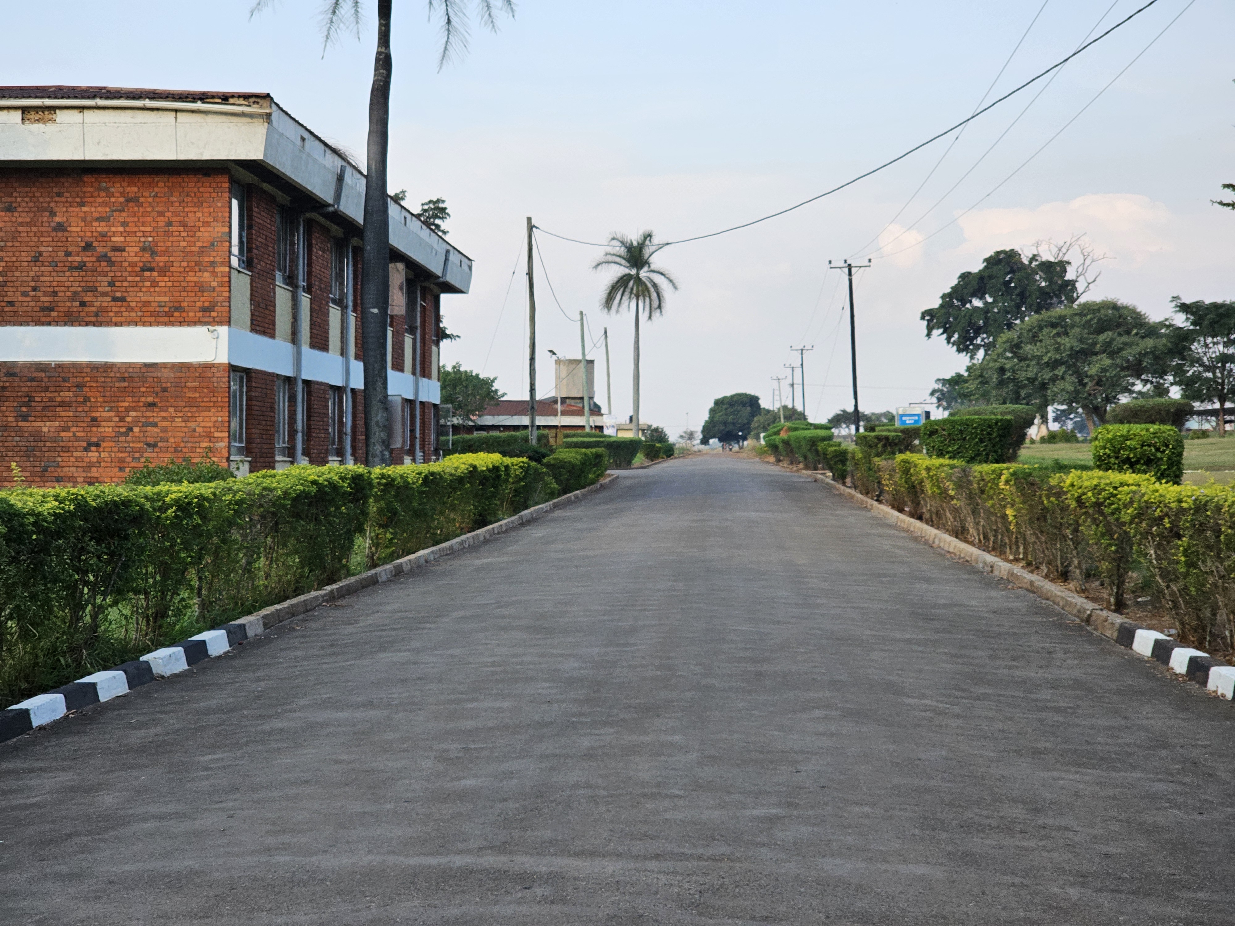 A newly paved road running through Busitema Campus, bordered by landscaped greenery and university buildings.